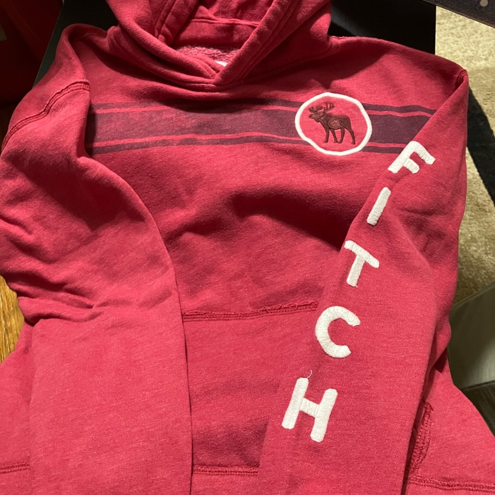 Abercrombie & Fitch Burgundy Hoodie with Moose Logo